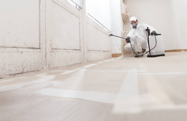 24/7 Emergency Mold Cleanup experts in Norfolk, MA