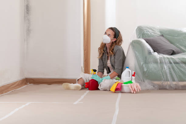 Reliable Mold Cleanup contractor in Norfolk, MA by Cheap Mold Removal